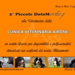 12 LUGLIO 2015, secondo raduno delle PICCOLE DOLOMITI. Un momento piacevole per riabbracciare i nostri cuccioli e confrontarci con Veterinari oltre che trascorrere una giornata insieme!